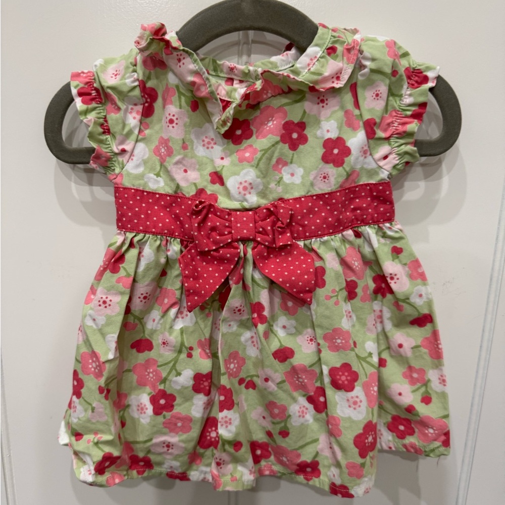 Gymboree Pink and Green Baby Dress